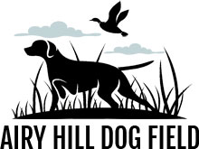 Airy Hill Dog Field